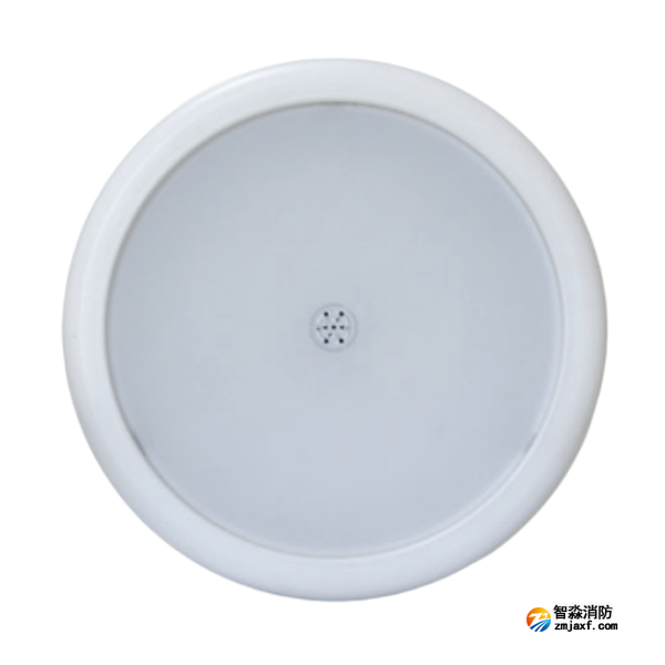 西藏海灣HW-ZFJC-E6W-N656SG聲光感應(yīng)型消防應(yīng)急照明燈具