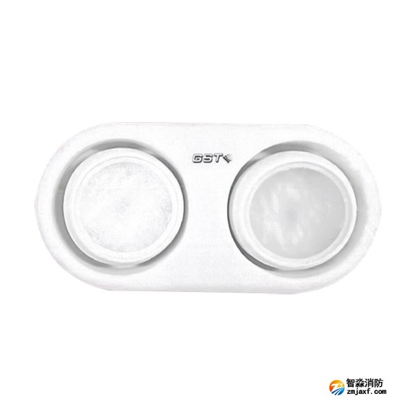 西藏海灣HW-ZFJC-E3W-YN663集中電源集中控制型消防應(yīng)急照明燈具（3W雙頭燈）