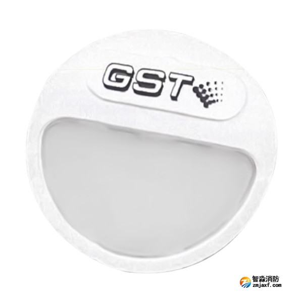 西藏海灣HW-ZFJC-E5W-YN662集中電源集中控制型消防應(yīng)急照明燈具（5W壁掛照明燈）